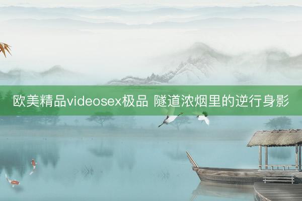 欧美精品videosex极品 隧道浓烟里的逆行身影