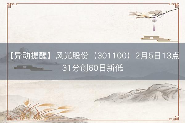 【异动提醒】风光股份（301100）2月5日13点31分创60日新低