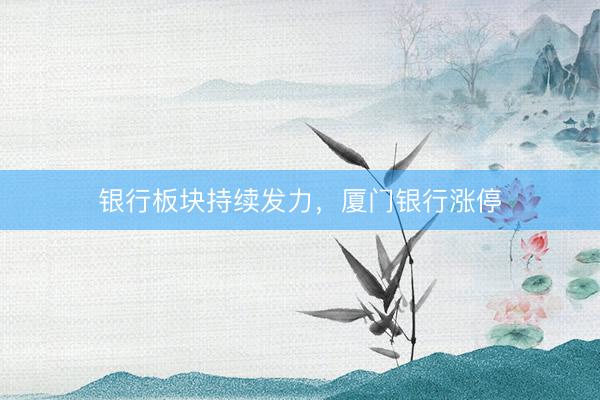 银行板块持续发力，厦门银行涨停