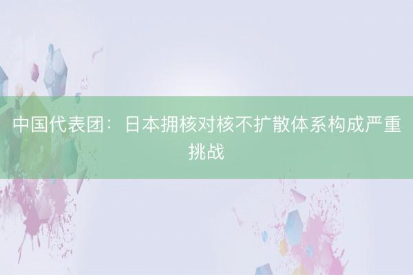 中国代表团：日本拥核对核不扩散体系构成严重挑战