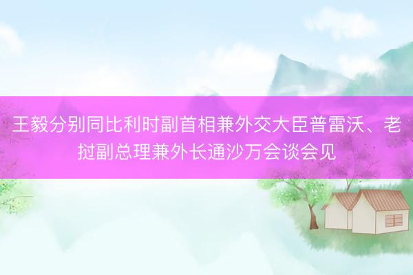王毅分别同比利时副首相兼外交大臣普雷沃、老挝副总理兼外长通沙万会谈会见