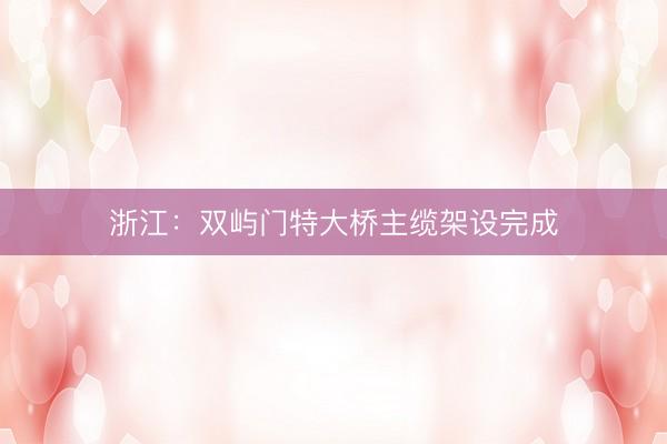 浙江：双屿门特大桥主缆架设完成