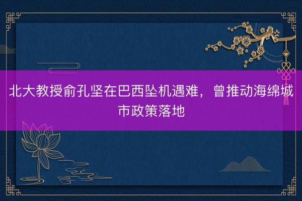 北大教授俞孔坚在巴西坠机遇难,曾推动海绵城市政策落地