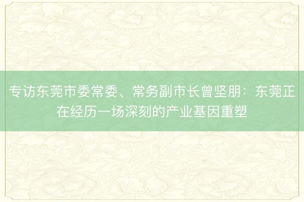 专访东莞市委常委、常务副市长曾坚朋：东莞正在经历一场深刻的产业基因重塑