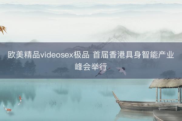 欧美精品videosex极品 首届香港具身智能产业峰会举行