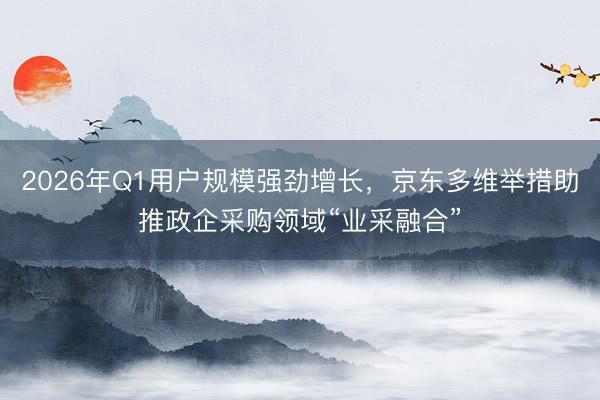 2026年Q1用户规模强劲增长，京东多维举措助推政企采购领域“业采融合”