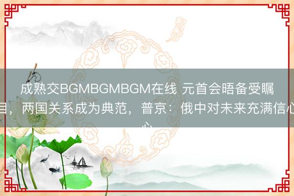成熟交BGMBGMBGM在线 元首会晤备受瞩目，两国关系成为典范，普京：俄中对未来充满信心