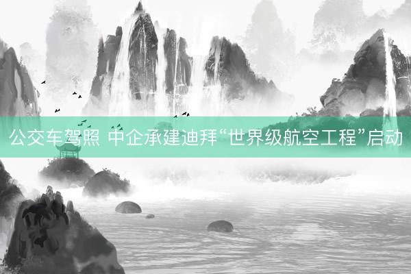 公交车驾照 中企承建迪拜“世界级航空工程”启动