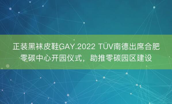 正装黑袜皮鞋GAY.2022 TÜV南德出席合肥零碳中心开园仪式，助推零碳园区建设