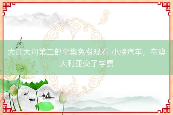 大江大河第二部全集免费观看 小鹏汽车，在澳大利亚交了学费
