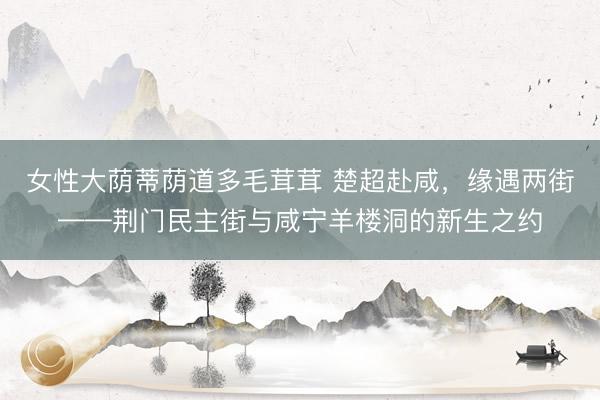 女性大荫蒂荫道多毛茸茸 楚超赴咸，缘遇两街——荆门民主街与咸宁羊楼洞的新生之约