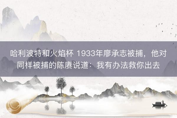 哈利波特和火焰杯 1933年廖承志被捕，他对同样被捕的陈赓说道：我有办法救你出去