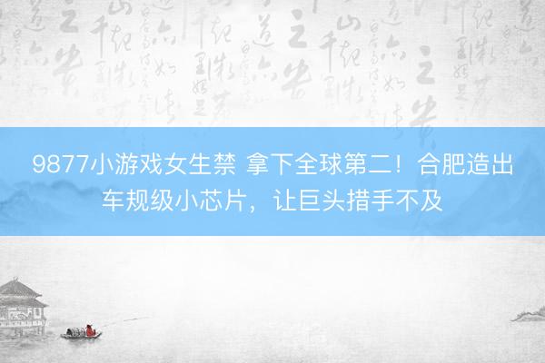 9877小游戏女生禁 拿下全球第二！合肥造出车规级小芯片，让巨头措手不及