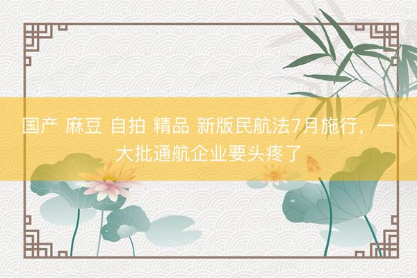 国产 麻豆 自拍 精品 新版民航法7月施行，一大批通航企业要头疼了
