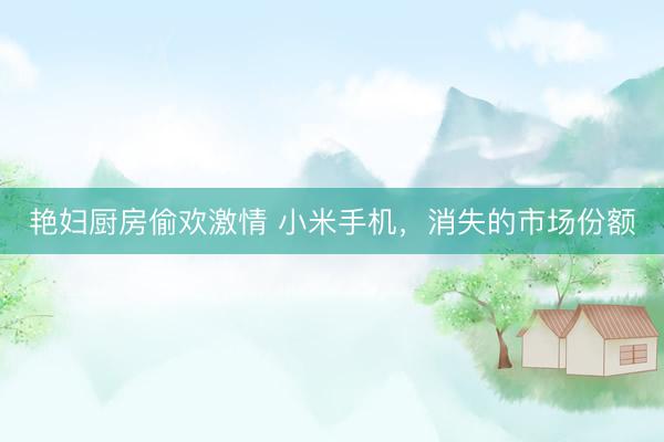 艳妇厨房偷欢激情 小米手机，消失的市场份额