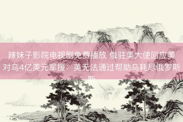 辣妹子影院电视剧免费播放 俄驻美大使回应美对乌4亿美元军援：美无法通过帮助乌耗尽俄罗斯