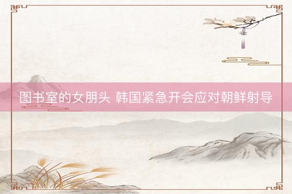 图书室的女朋头 韩国紧急开会应对朝鲜射导