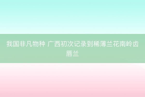我国非凡物种 广西初次记录到稀薄兰花南岭齿唇兰