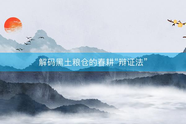 解码黑土粮仓的春耕“辩证法”
