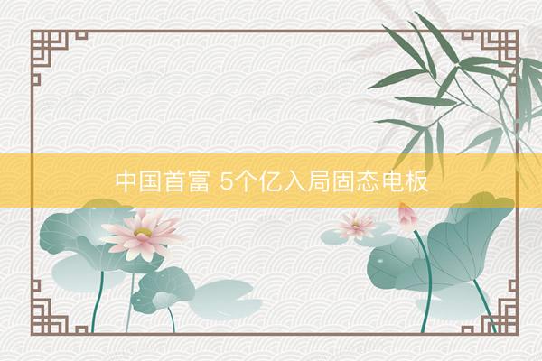 中国首富 5个亿入局固态电板