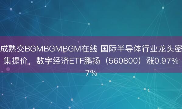 成熟交BGMBGMBGM在线 国际半导体行业龙头密集提价，数字经济ETF鹏扬（560800）涨0.97%