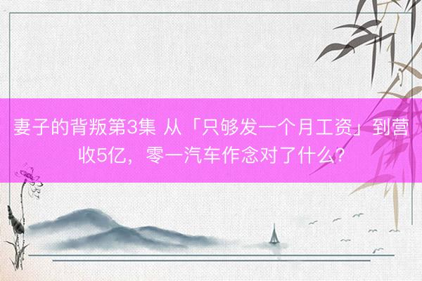 妻子的背叛第3集 从「只够发一个月工资」到营收5亿，零一汽车作念对了什么？