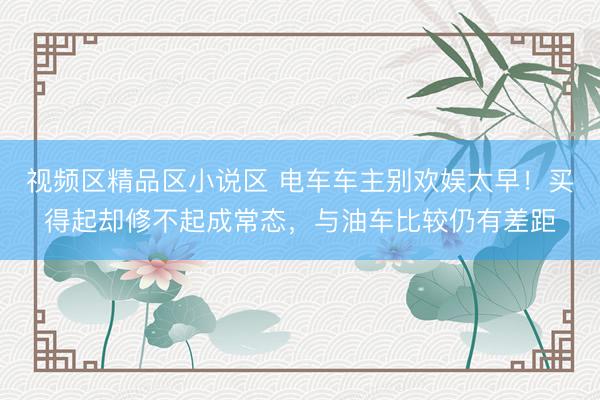 视频区精品区小说区 电车车主别欢娱太早！买得起却修不起成常态，与油车比较仍有差距