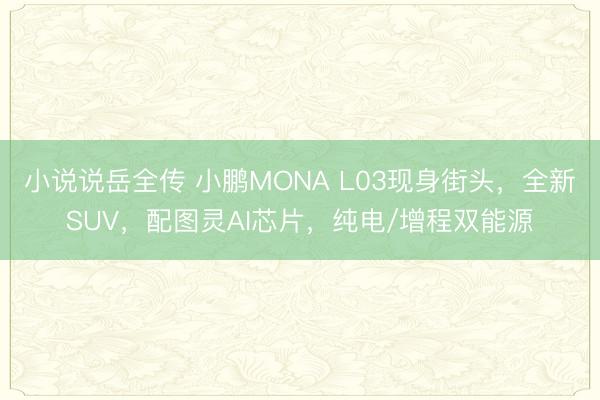 小说说岳全传 小鹏MONA L03现身街头，全新SUV，配图灵AI芯片，纯电/增程双能源