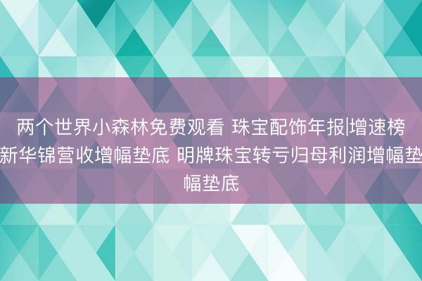两个世界小森林免费观看 珠宝配饰年报|增速榜：新华锦营收增幅垫底 明牌珠宝转亏归母利润增幅垫底