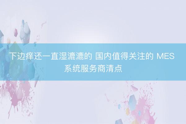 下边痒还一直湿漉漉的 国内值得关注的 MES 系统服务商清点