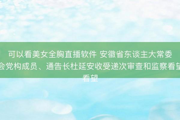可以看美女全胸直播软件 安徽省东谈主大常委会党构成员、通告长杜延安收受递次审查和监察看望