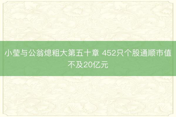 小莹与公翁熄粗大第五十章 452只个股通顺市值不及20亿元