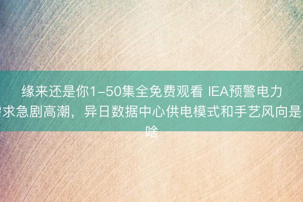 缘来还是你1-50集全免费观看 IEA预警电力需求急剧高潮，异日数据中心供电模式和手艺风向是啥
