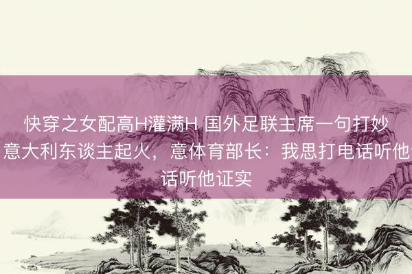 快穿之女配高H灌满H 国外足联主席一句打妙语引意大利东谈主起火，意体育部长：我思打电话听他证实