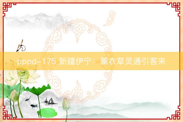 pppd-175 新疆伊宁：薰衣草灵通引客来