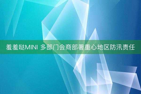 羞羞哒MINI 多部门会商部署重心地区防汛责任