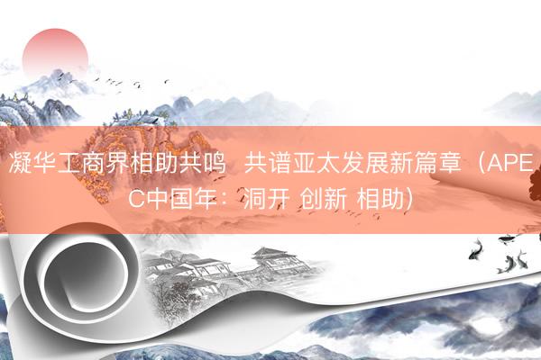 凝华工商界相助共鸣  共谱亚太发展新篇章（APEC中国年：洞开 创新 相助）